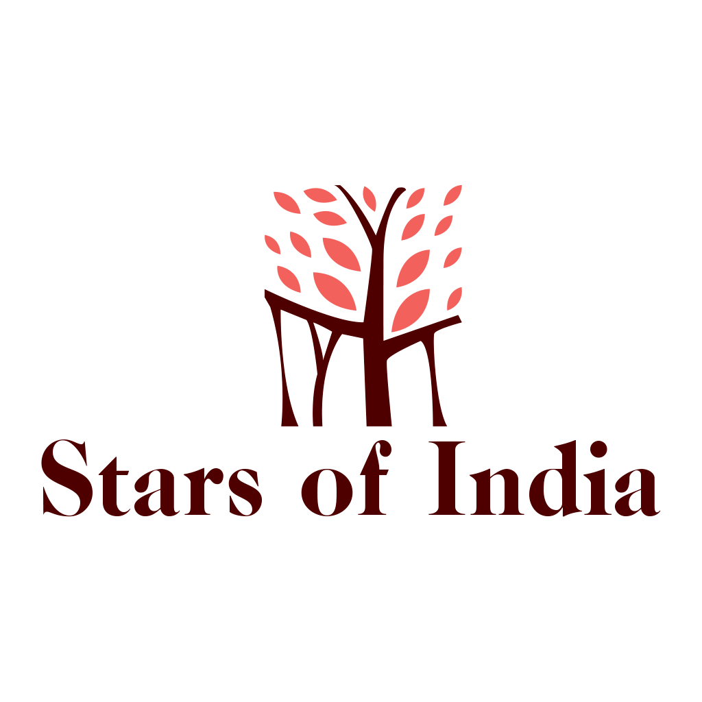 Stars of India Thurles logo.